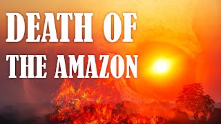 Can We Save the Amazon Rainforest? ft. @AllAboutClimate