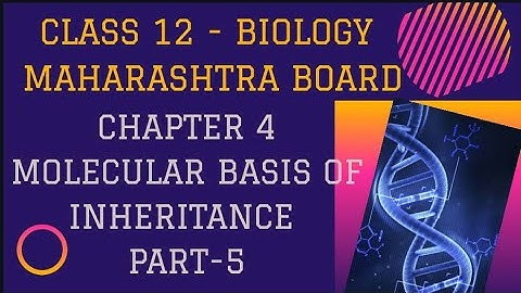 Molecular basis of inheritance |  Class 12 Biology| Chapter 4| part 5|