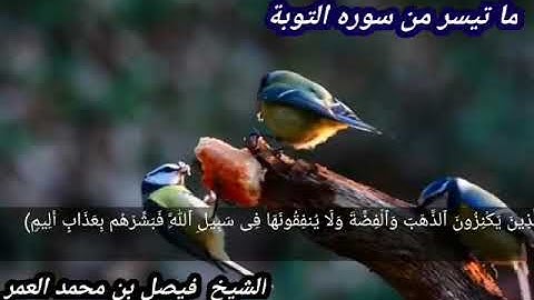 آيات من سورة التوبة (والذين يكنزون الذهب والفضة ولا ينفقونها في سبيل الله .... ) الآيات