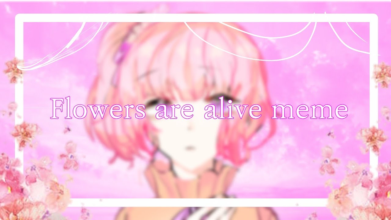 자캐로 Flowers are alive meme / 은이(Eunhee) / 열두번째 밈 YouTube