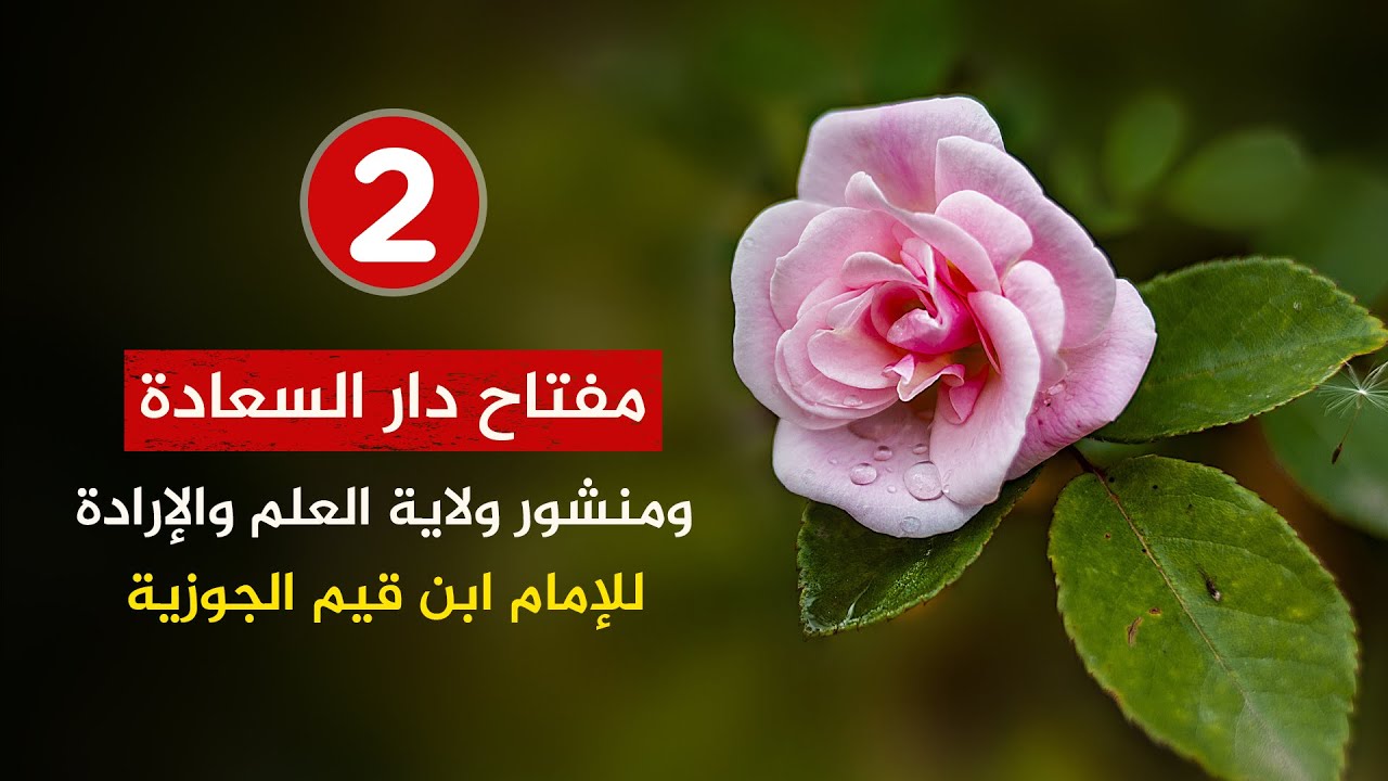كتاب مفتاح دار السعادة ومنشور ولاية العلم والإرادة {2} الجزء الثاني