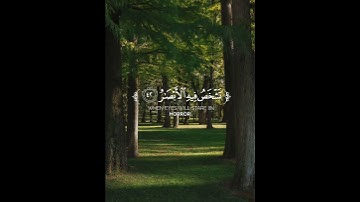 أجمل التلاوات الخاشعة لإمام الحرمين الشريفين الشيخ ياسر الدوسري #عبدالرحمن_مسعد#ياسرالدوسري #