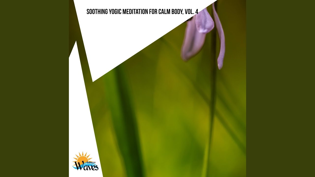 Body Mind Zone YouTube