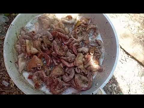 luto ni andoy#viralvideo