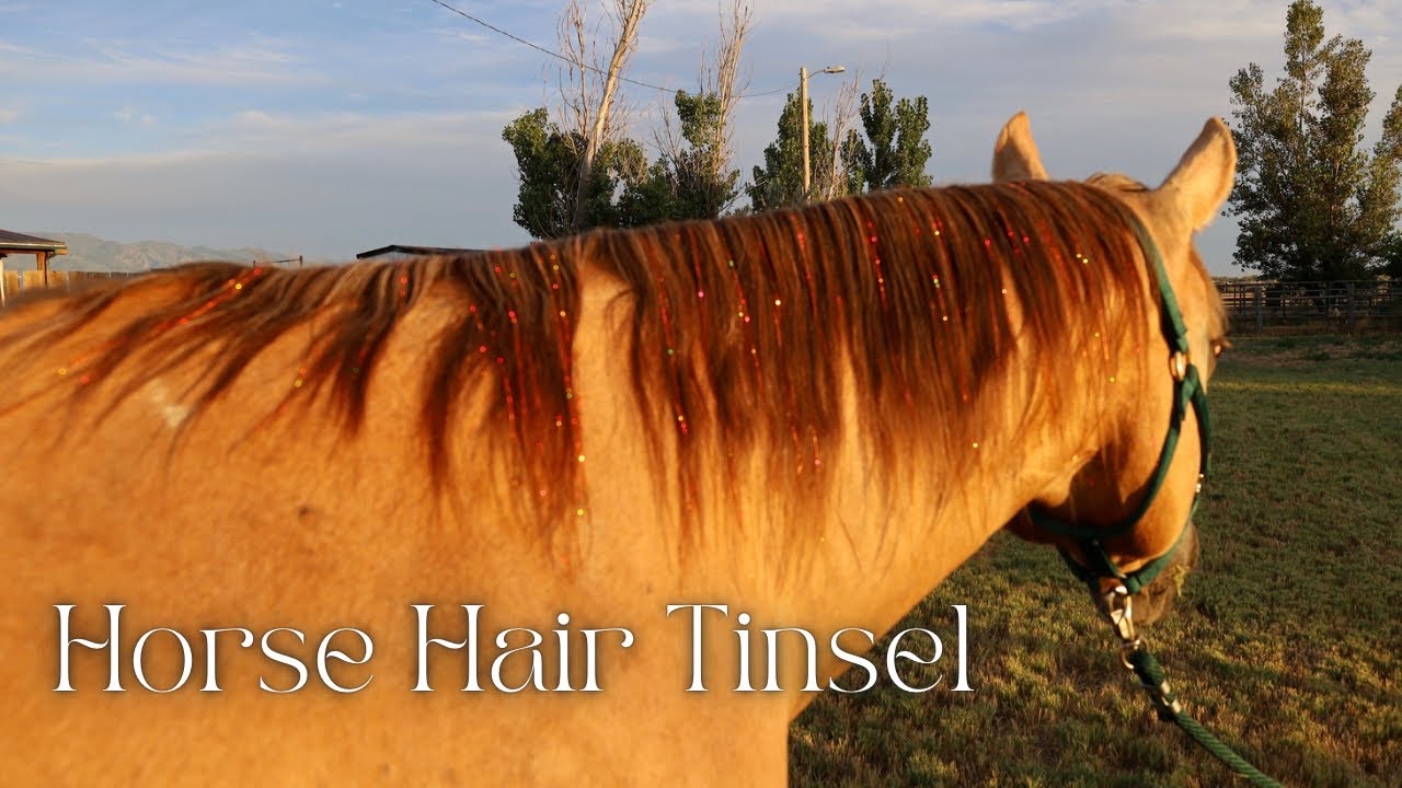 How to tie hair tinsel on a horse 