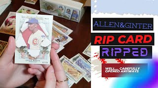 2022 Topps Allen & Ginter Rip Card