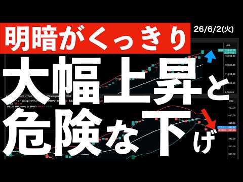 【明暗くっきり】SOX5%超上昇でも、あの銘柄の下落が気になる　#米国株 #日経平均 #sp500 #soxl #nvda