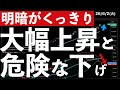 【明暗くっきり】SOX5%超上昇でも、あの銘柄の下落が気になる #米国株 #日経平均 #sp500 #soxl #nvda