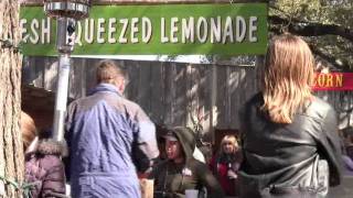 DFI Sidetrip: The road to Salt Lick
