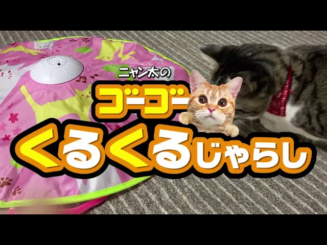 ゴーゴーくるくるじゃらし（CT-624） - YouTube
