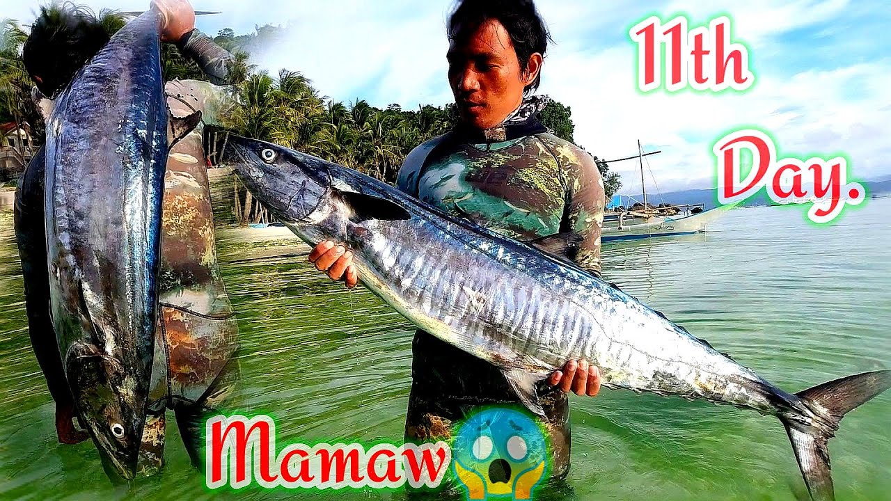 GIANT SPANISH MACKEREL.11TH DAY SPEARFISHING. || Gabby Ramal