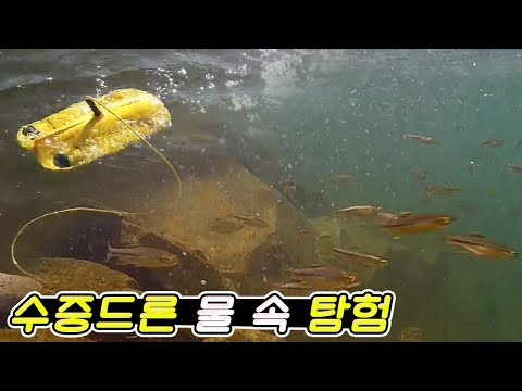 새로운 가족이 생겼습니다! 수중드론 소개와 수중탐험 / Introduction of Underwater Drone and Underwater Exploration