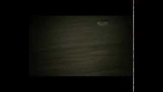 lamping with lurchers, by TheMrGTsmash 821 views 10 years ago 53 seconds