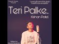 Teri palke  kishan patel    official song    love song    pramukh studio presents  