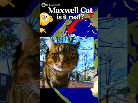 Maxwell Cat is it real? 🤯🐈‍⬛😱 on google earth and google maps 🌎 #sygoogleearth #shots #maxwell