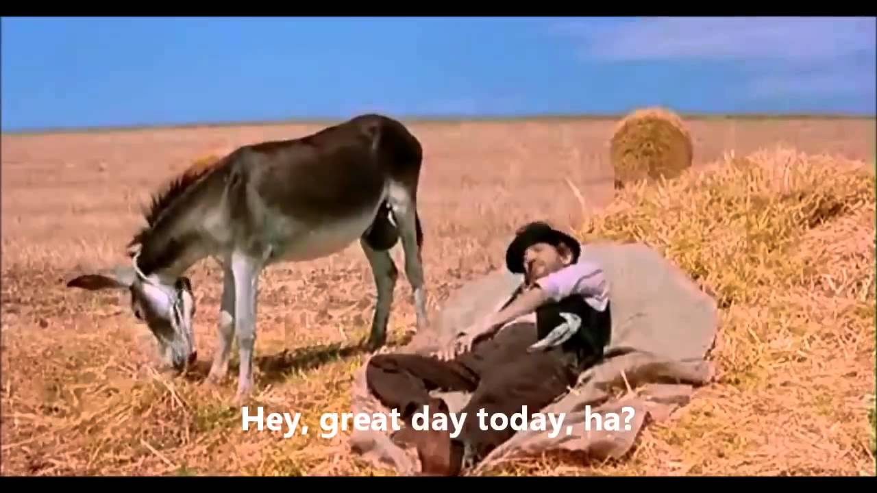 Magical Donkey Balls Willy Foo Photographer, M - YouTube