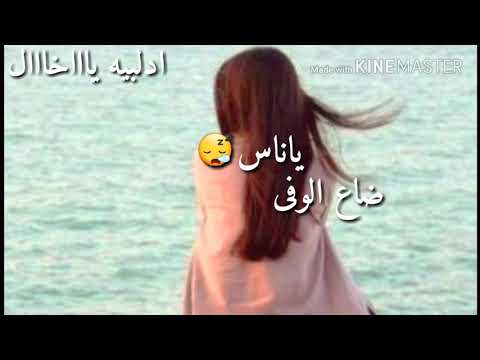 مالت لطم عراس تصميمي