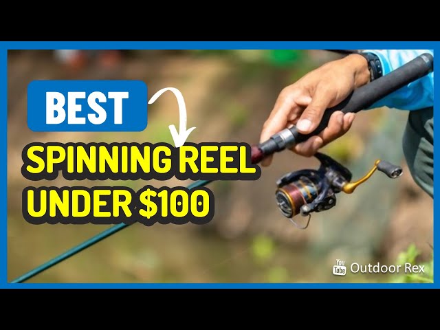 Top 5 Best Spinning Reel Under $100 in 2023 