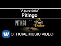 Pitingo  a puro dolorclip oficial