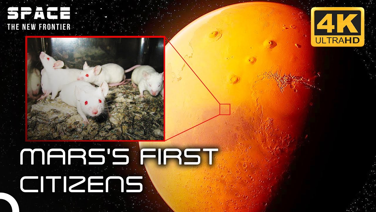 NASA Plans On Sending Mice To Mars! | 4K Space Documentary - YouTube
