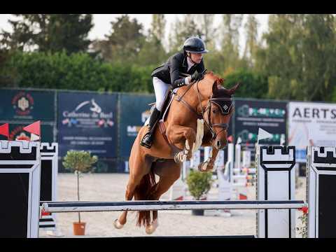 Kill Bill Des Parts - Sunshine Tour