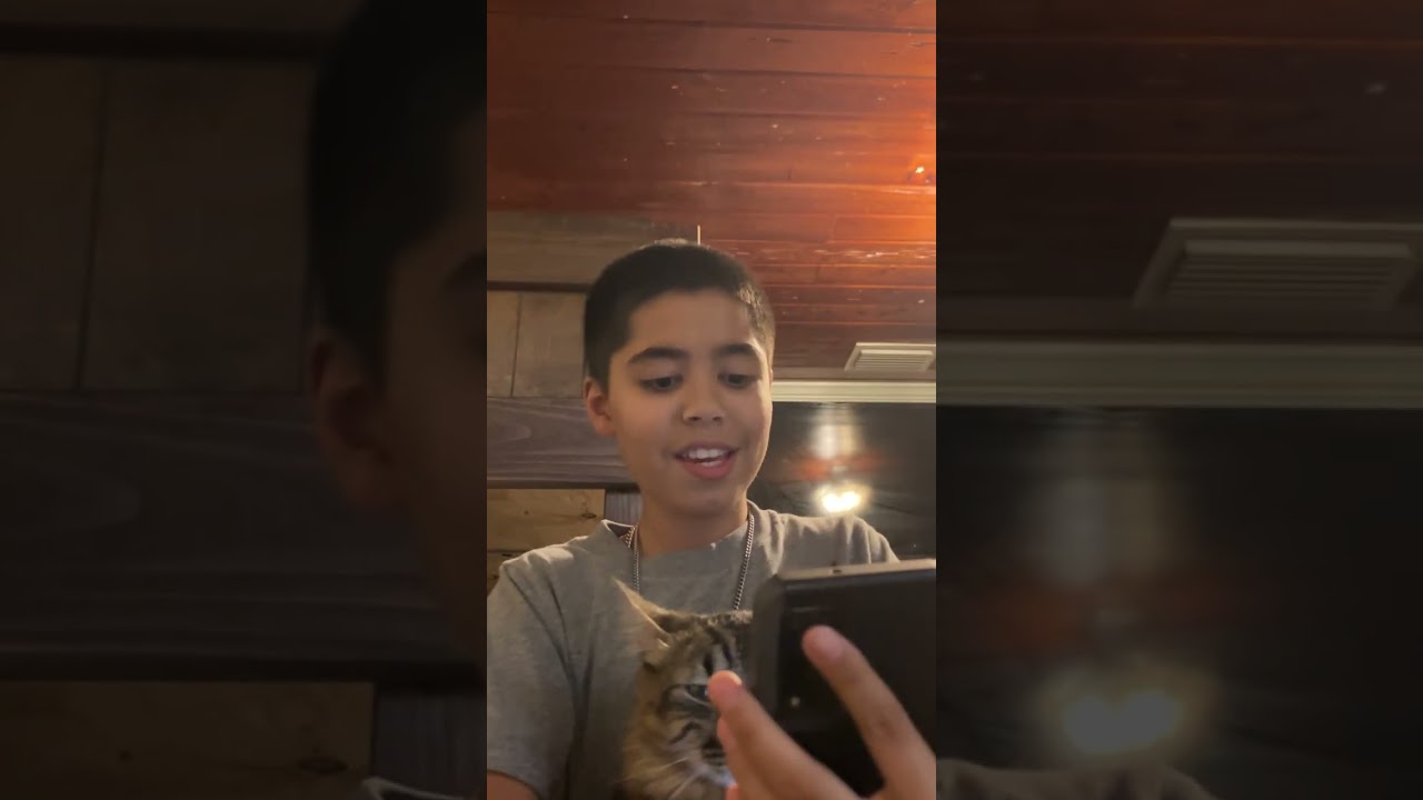 Day 39 Muust see my cat open game packs