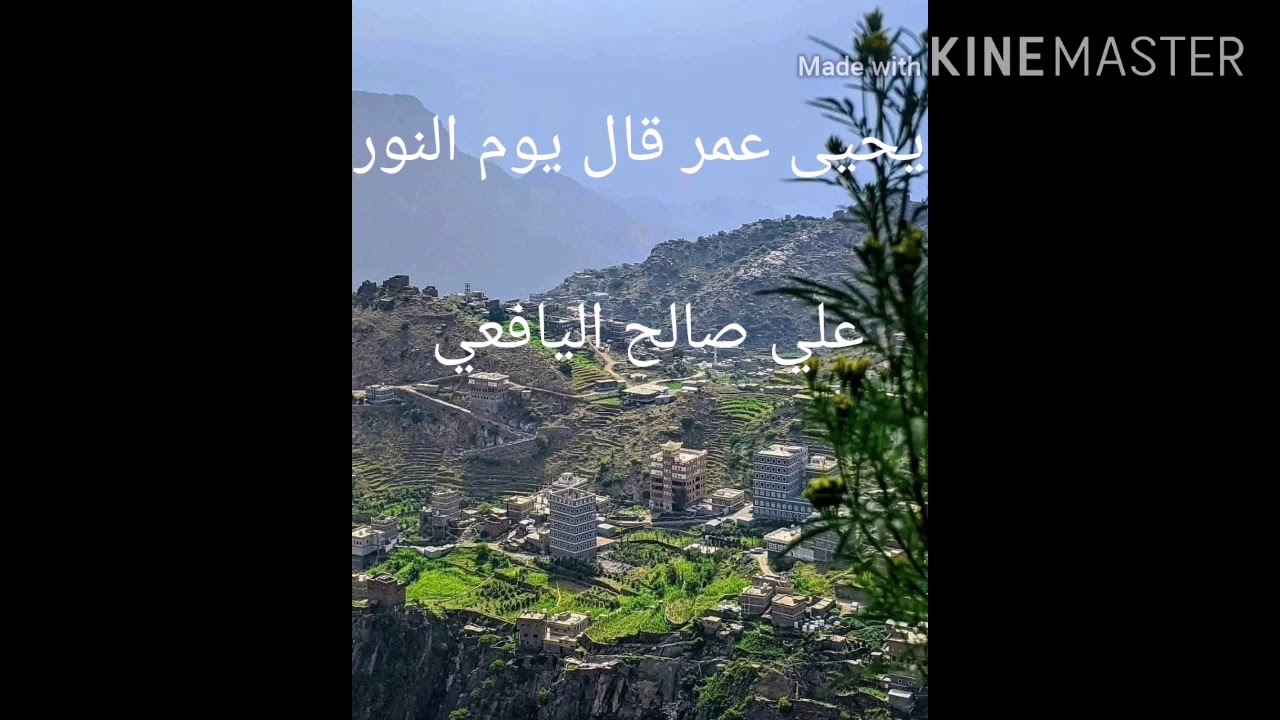 يحيى عمر قال يوم النور _ علي صالح اليافعي