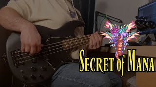 Secret of Mana - Meridian Dance // BASS COVER screenshot 1