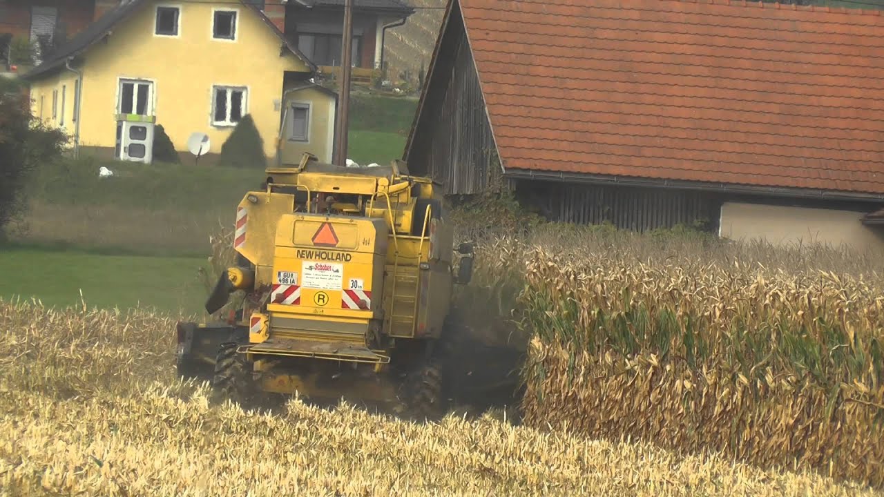 NEW HOLLAND TX 65  Dreschen von Mais im Oktober mit 8.Reihigen  Maispflücker in der