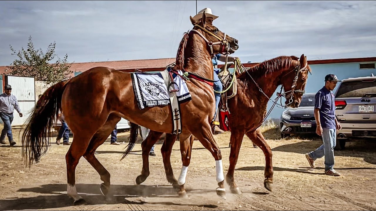 La Media Naranja C. El Roble | Super Abierto En 250 Varas | Carril 2000 Durango Mex.
