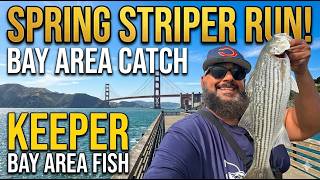 Spring Season 2026 | Episode 5 | Bay Area Striper Fishing | Hayya Fishin