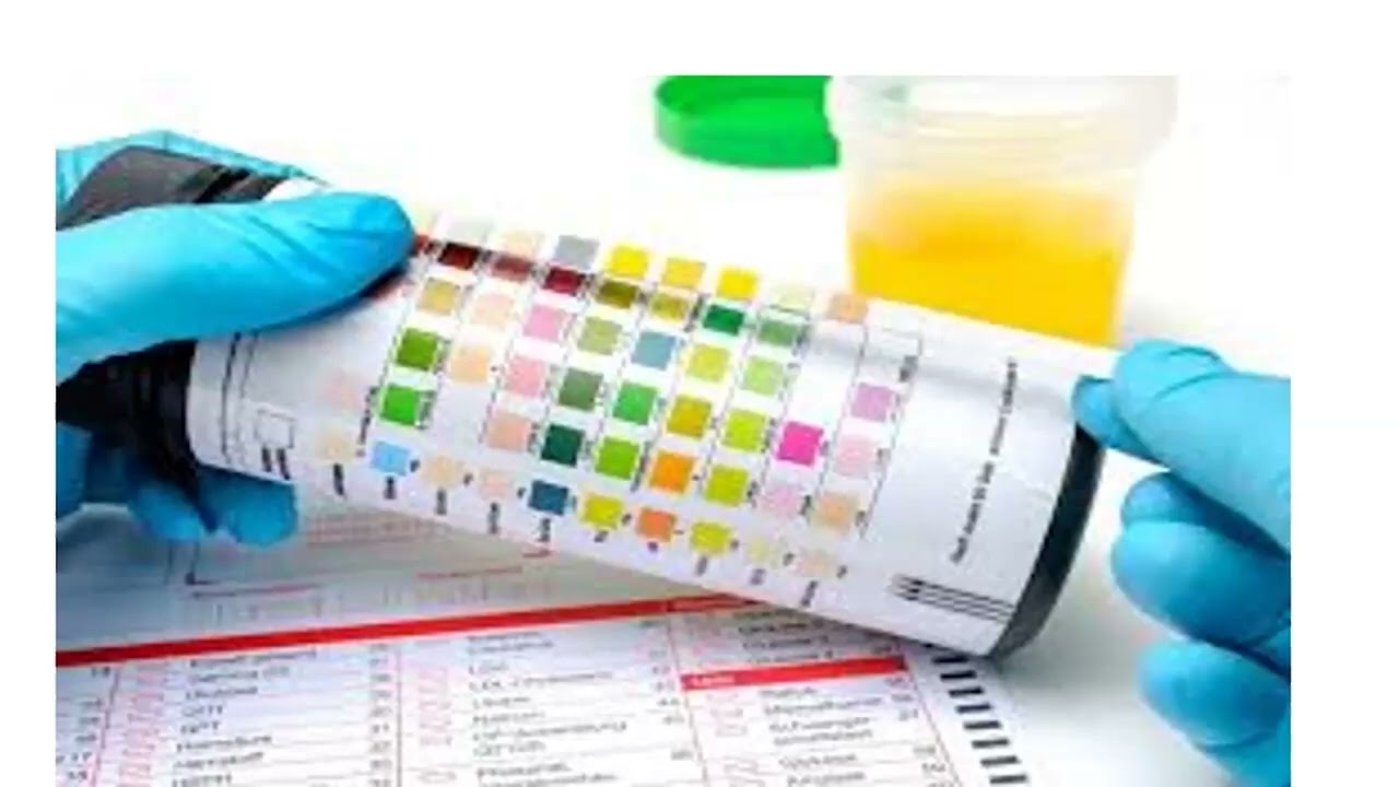 PRACTICA No  12 E G O