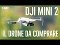 DJI Mini 2, recensione. Questo è il drone che state cercando
