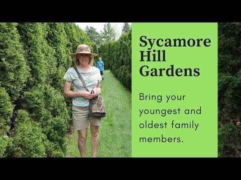 Sycamore Hill Gardens