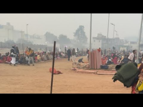 Vrindavan live maharaj darshan 21/1/2026