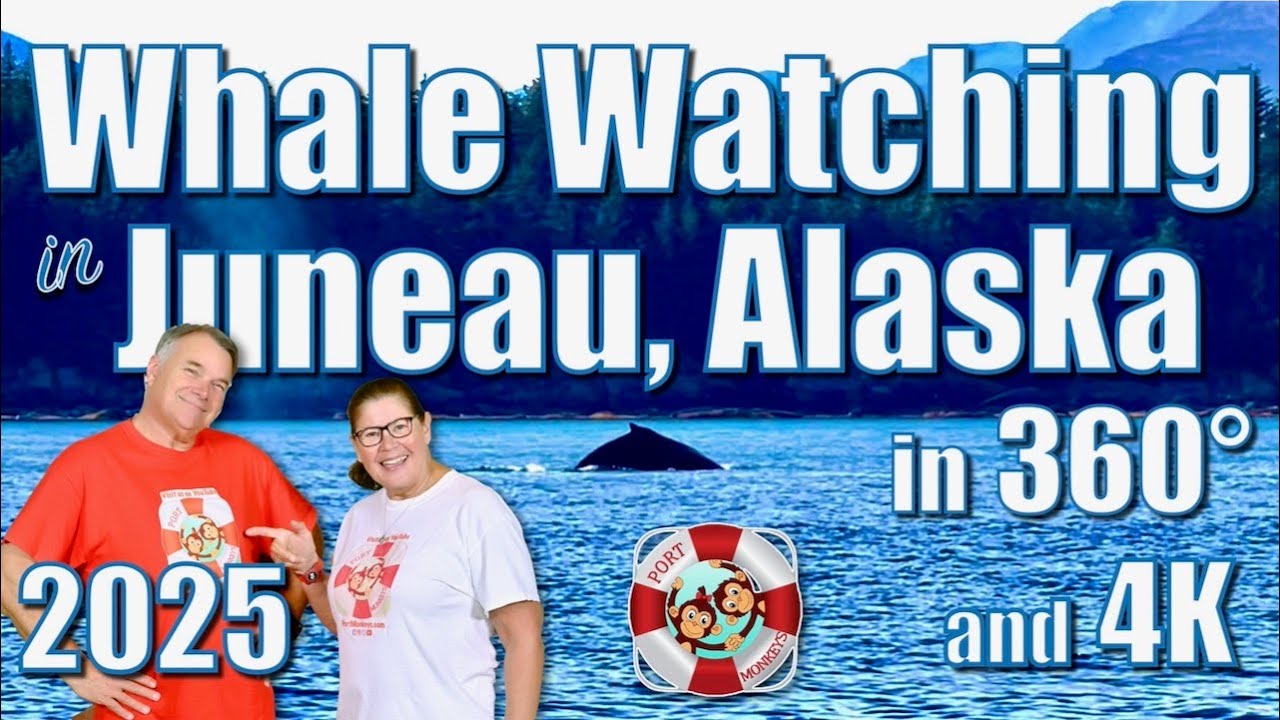 Наблюдение за китами 360° в Джуно, Аляска, 2025 в формате 4K