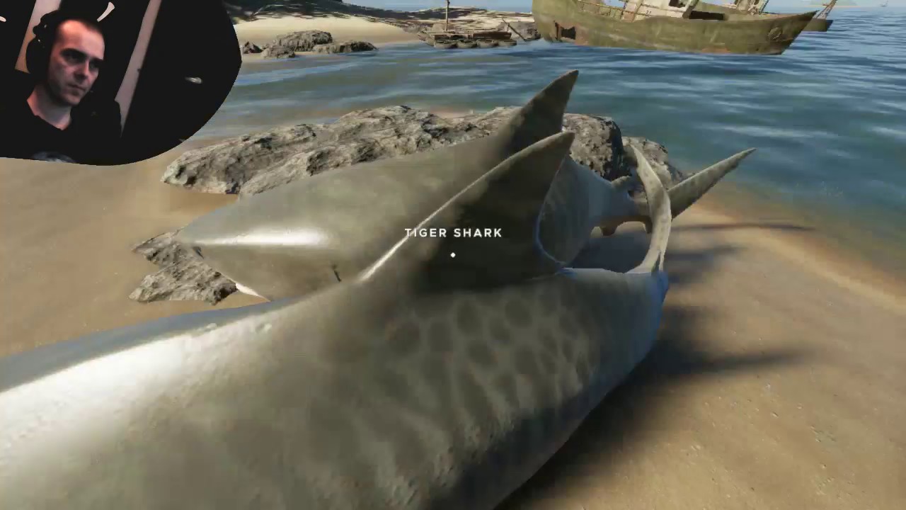 stranded deep shark and crates 136