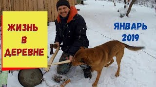 Видео ЖИЗНЬ В ДЕРЕВНЕ - ОТЛЕЖАЛИ ВСЕ БОКА - ВТЯГИВАЕМСЯ В ДЕРЕВЕНСКИЙ РИТМ (автор: Деревенский Горожанин)