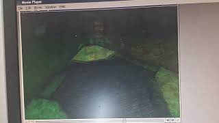 Prey 1998 Vid In The Packard Bell Club 30.