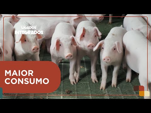 Quais fatores que estão moldando o consumo de carne suína no Brasil? | Ligados&Integrados - 28/03/24