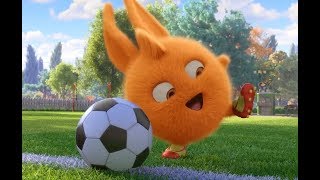 Солнечно Зайчики - Футбольная команда  | Забавные мультфильмы для детей | WildBrain