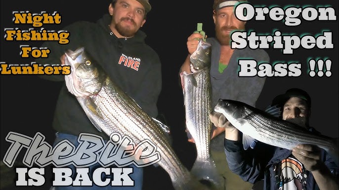 Oregon Winter Steelhead Fishing - Good Fish - Spinners & Jigs
