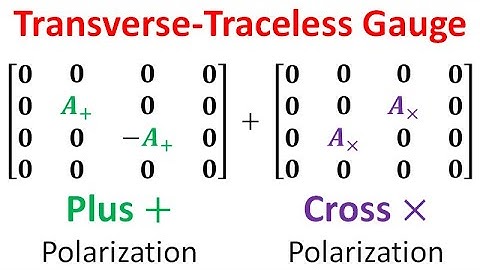 Relativity 109d: Gravitational Waves - Transverse-Traceless Gauge (Plus and Cross Polarizations)
