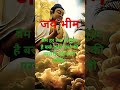 जय भीम जय बुद्ध शरणं गच्छामि जयभीम