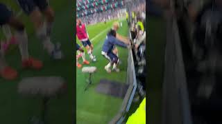 Goal Tottenham #coys #football #thfc #tottenhamhotspur #thfc #spurs #goal #premierleague