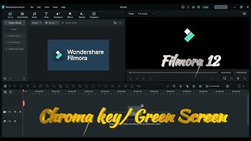 How to use Chroma key/ Green screen to replace background in filmora 12 | In Hindi