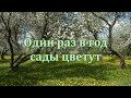 🎶 Анна Герман 🎶 Один раз в год сады цветут 🎶 караоке 🎶 Один раз в год сады цветут с ТЕКСТОМ 🎶