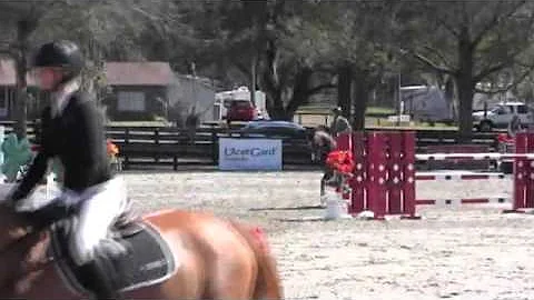 Video of Camouflage ridden by Danica Meyerhoff fro...