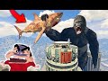 GTA 5 | KING KONG vs MEGLADON SHARK with FRANKLIN in GTA5 | MEGALODON vs. KING KONG with SHINCHAN