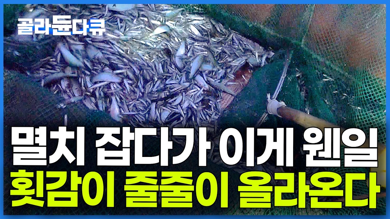 멸치 보다 귀한 횟감이 바글바글. 비싼 고기 보더니 신난 선장님이 차린 밥상｜극한직업｜#골라듄다큐